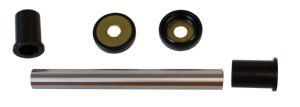 608-5003 - A-Arm Bearing & Seal Kit