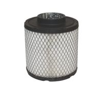 7082037 - Polaris Air Filter