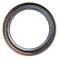 Oil Seals