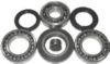 608-1011 - Differential Kit